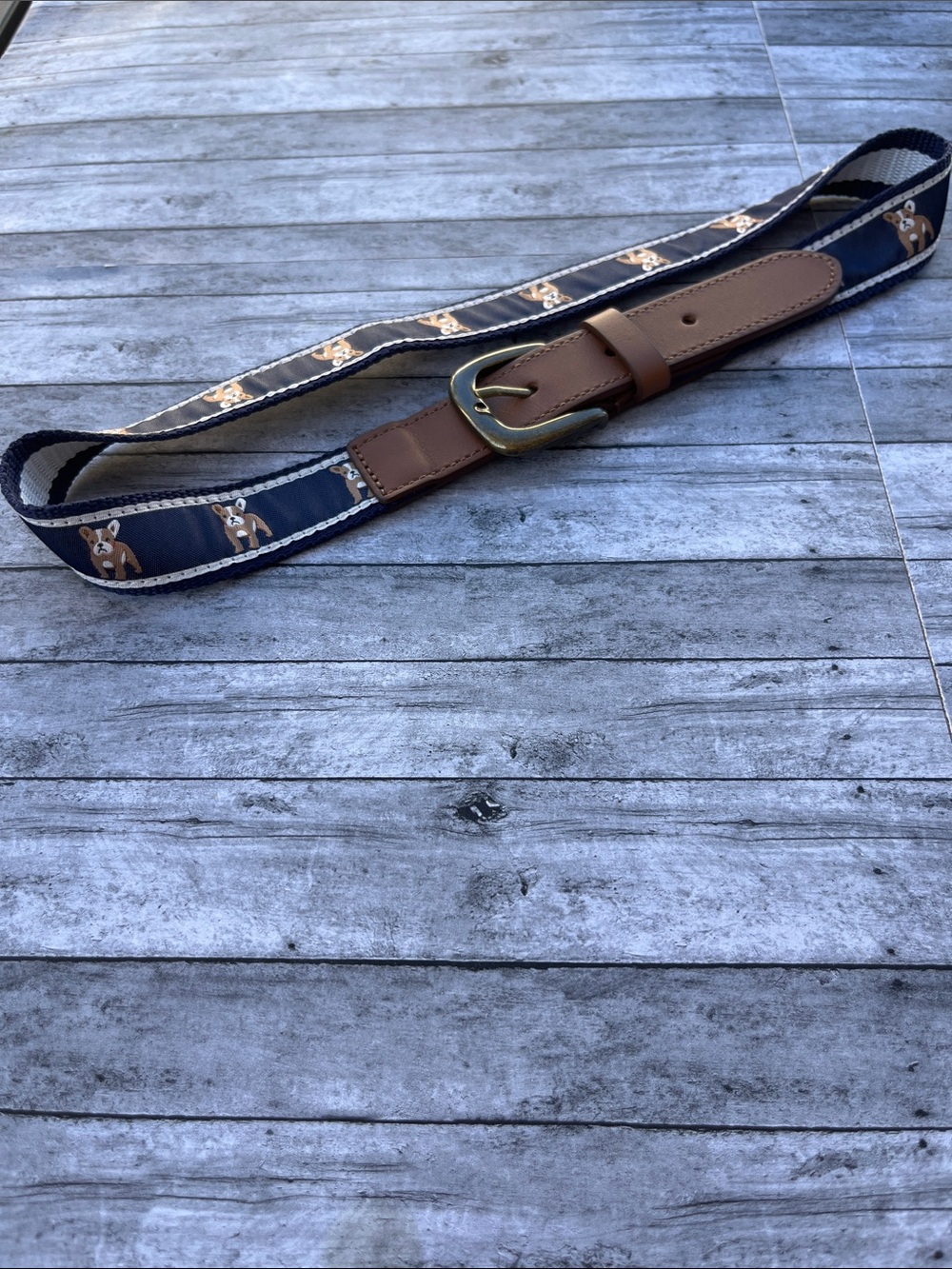 Janie and Jack Navy Blue Dog-Print Belt with Brown Leather Trim